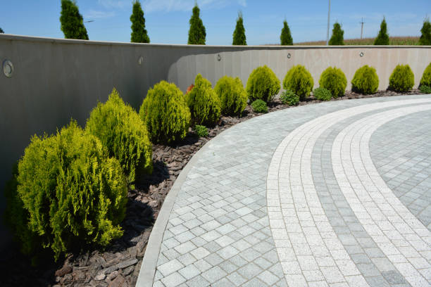 Best Driveway Paving Contractor  in Nd Lake, WI